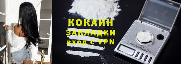 шишки Тутаев