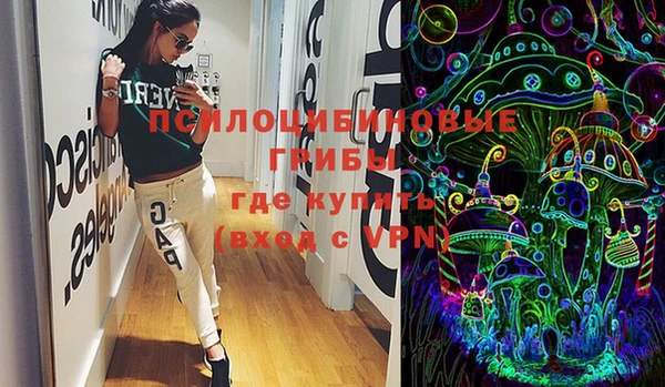 шишки Тутаев