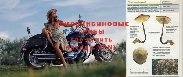 прущие грибы Туринск